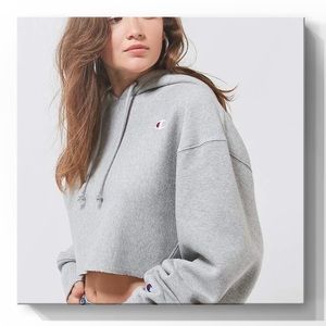 Champion & UO Cropped Hoodie Sweatshirt GREY